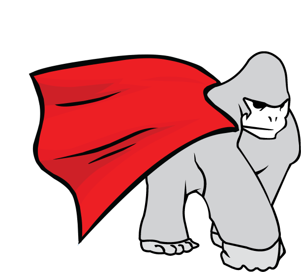 Super Hero Seamus
